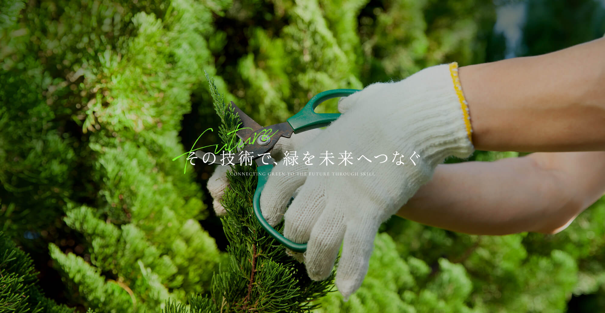 その技術で、緑を未来へつなぐ