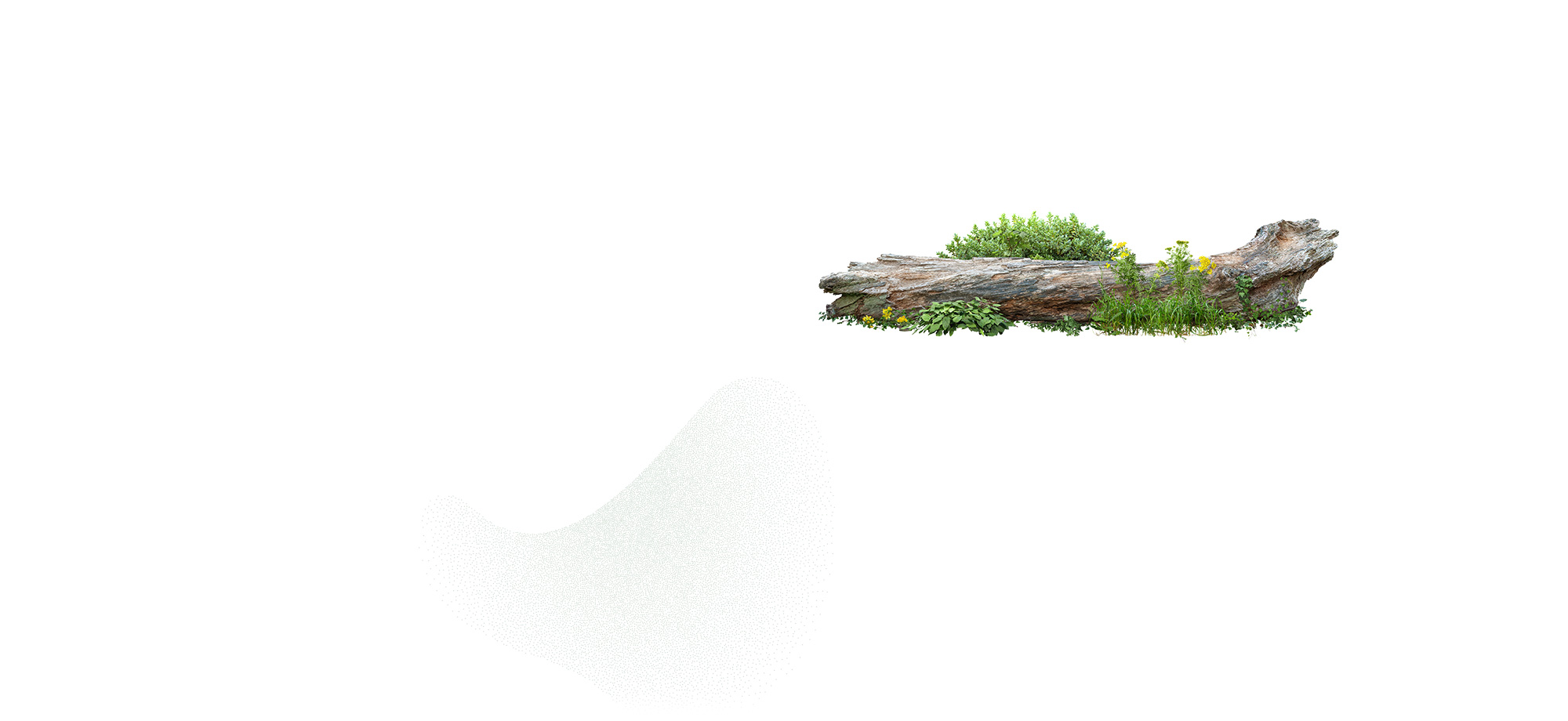 secondmain_bg